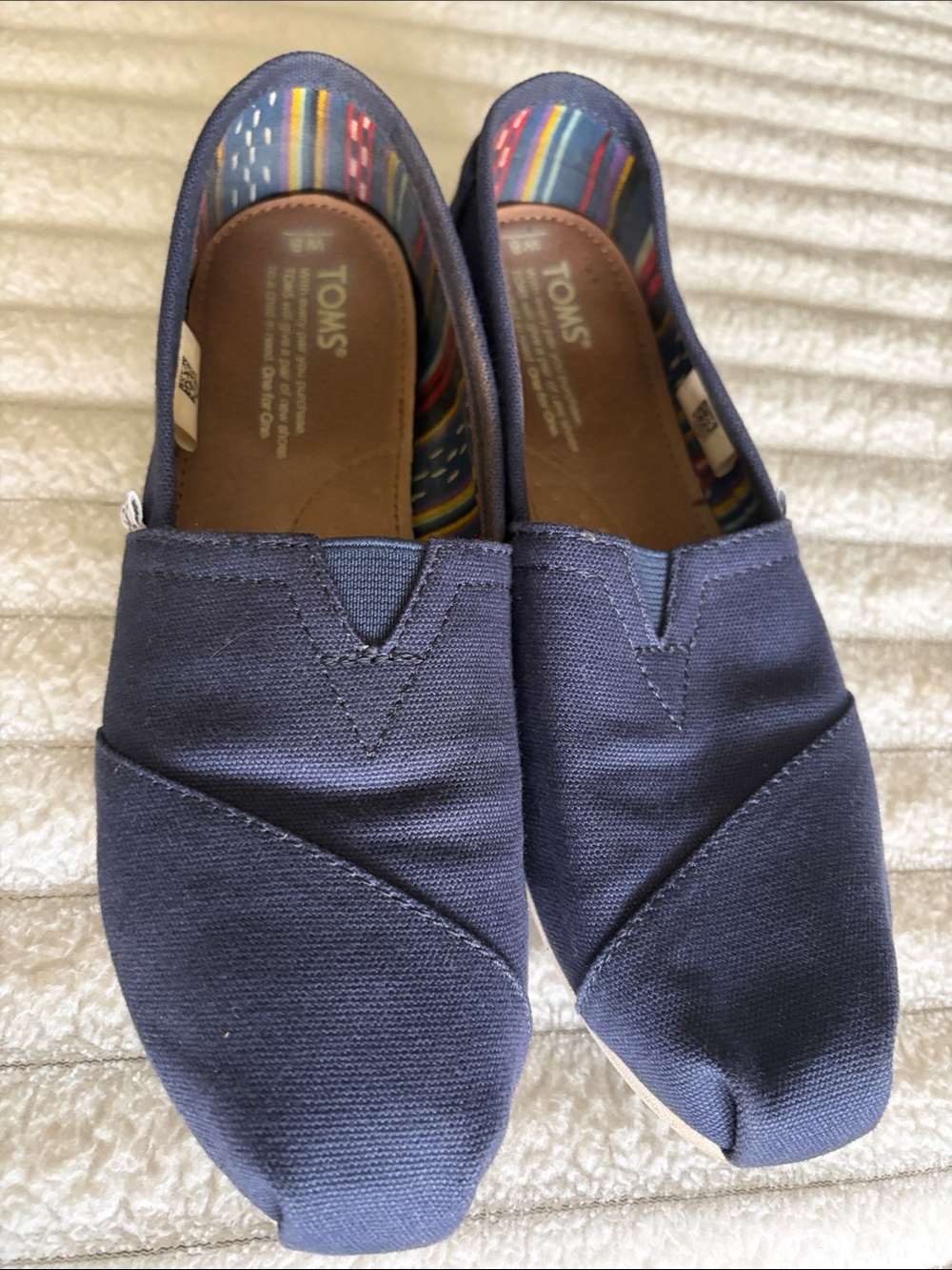 Toms Men’s Navy Canvas Slip-On Loafers with Multicolor Lining